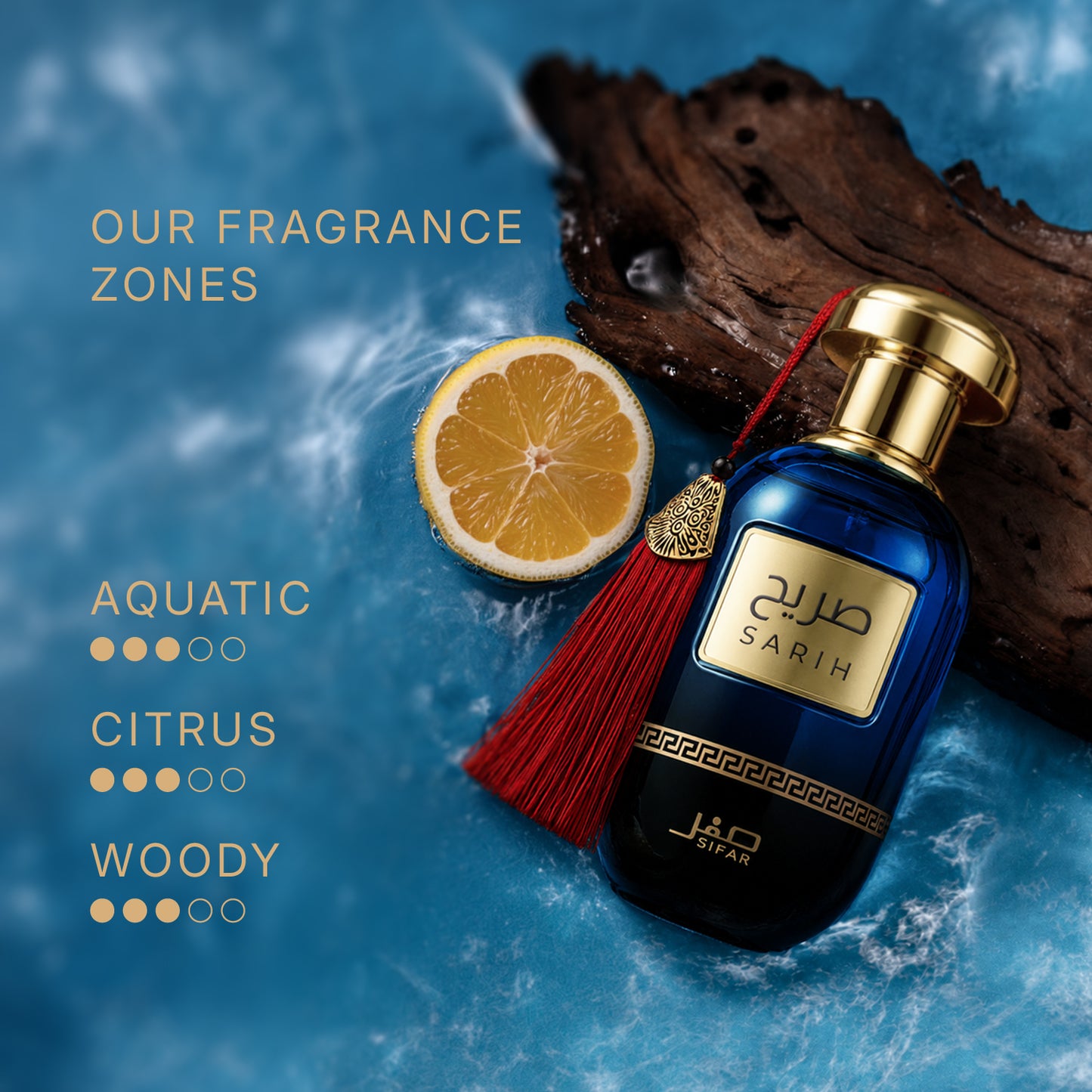 SIFAR Sarih Long Lasting Eau De Parfum For Men | Luxury Aquatic Woody Perfume |100ml